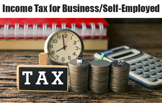 Income Tax Filing for Self-Employed or Businessman
