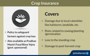 Crop Insurance: Coverage, Claim & Renewal