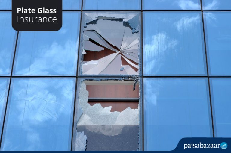 Plate Glass Insurance Coverage, Claim & Exclusions