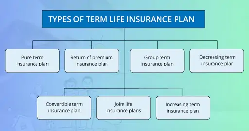 type of term life insurance plan